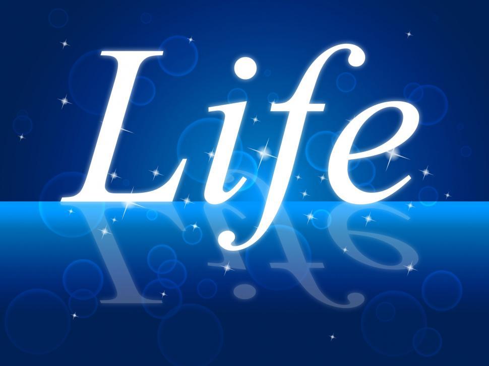 Free Image of New Life Means Start Again And Forward 