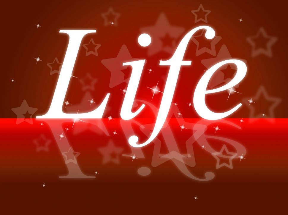 Free Image of New Life Shows Fresh Start And Born 