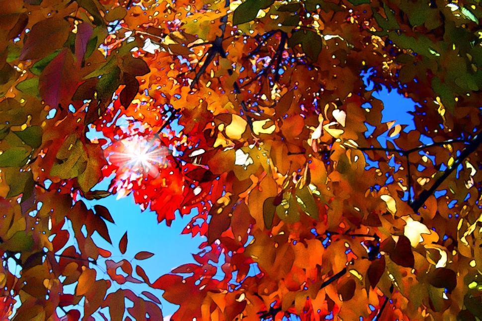 Free Image of Fort Collins Fall 