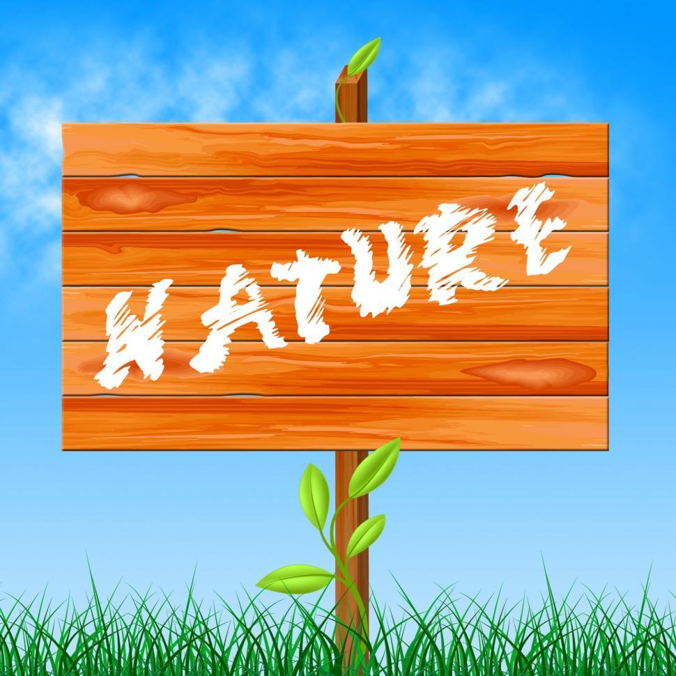 Free Image of Nature Natural Shows Rural Tree And Trees 