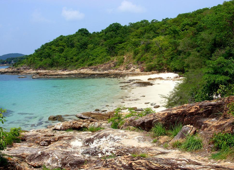 Free Image of Rocky beach 