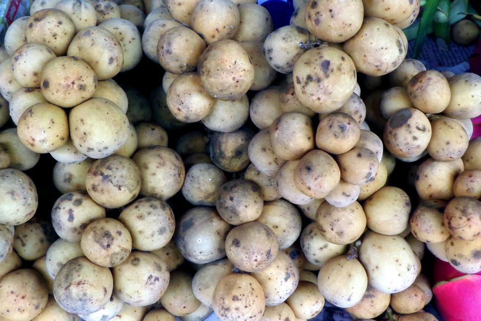 Free Image of Longkong fruit 