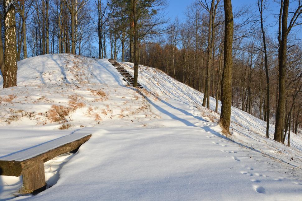 Free Image of Bench and steps 