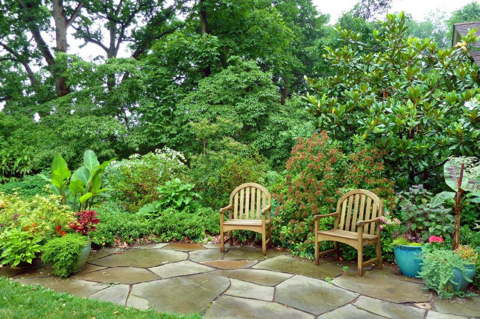 Free Image of Wooden Chairs and Potted Plants 