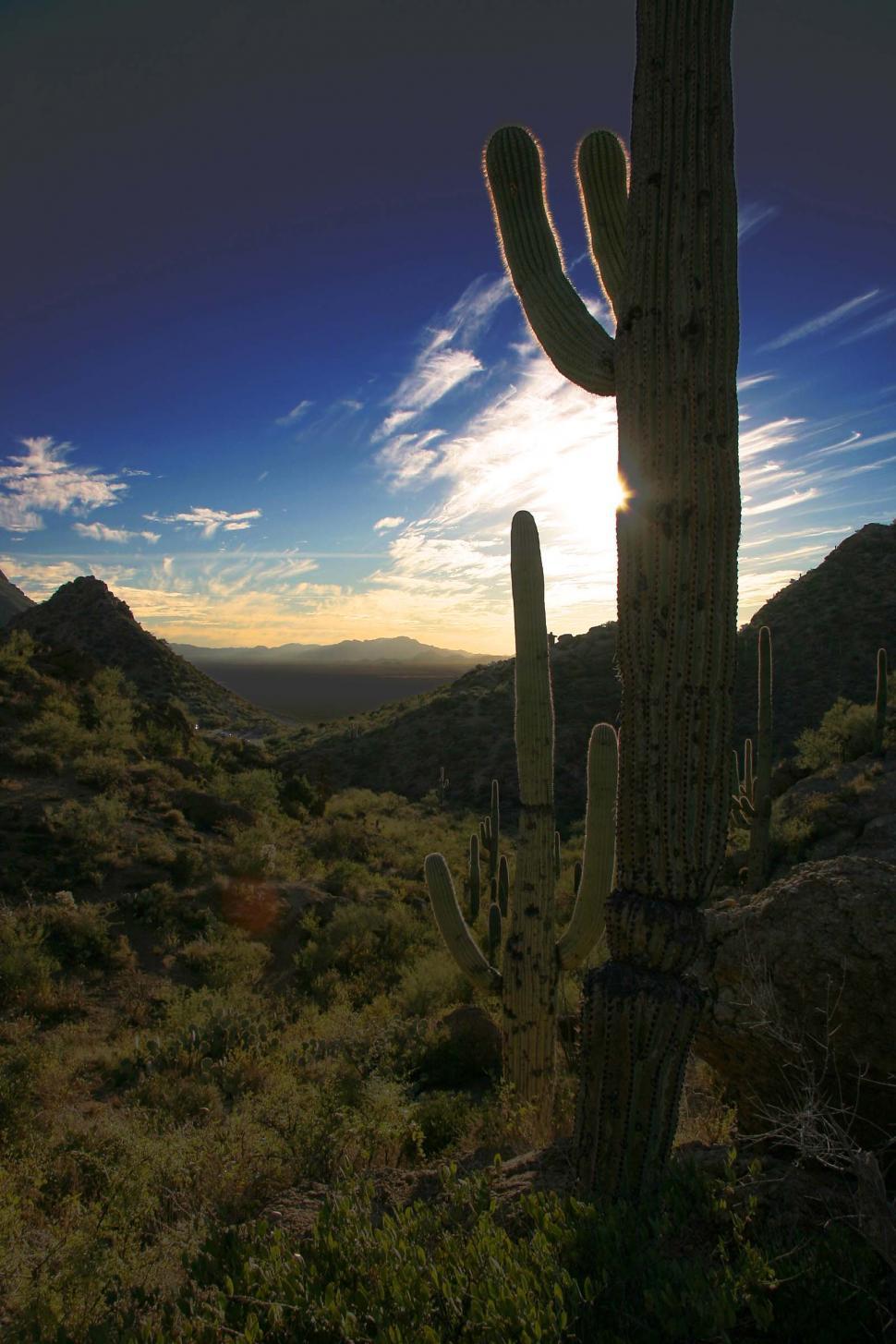 Free Image of Desert mountain pass at sunset 