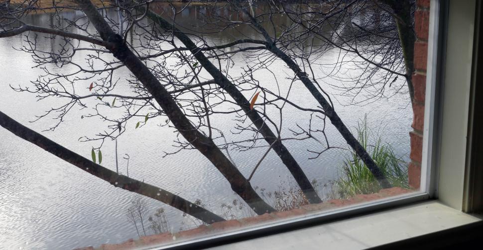 Free Image of Lake view from window Lake view from the window 