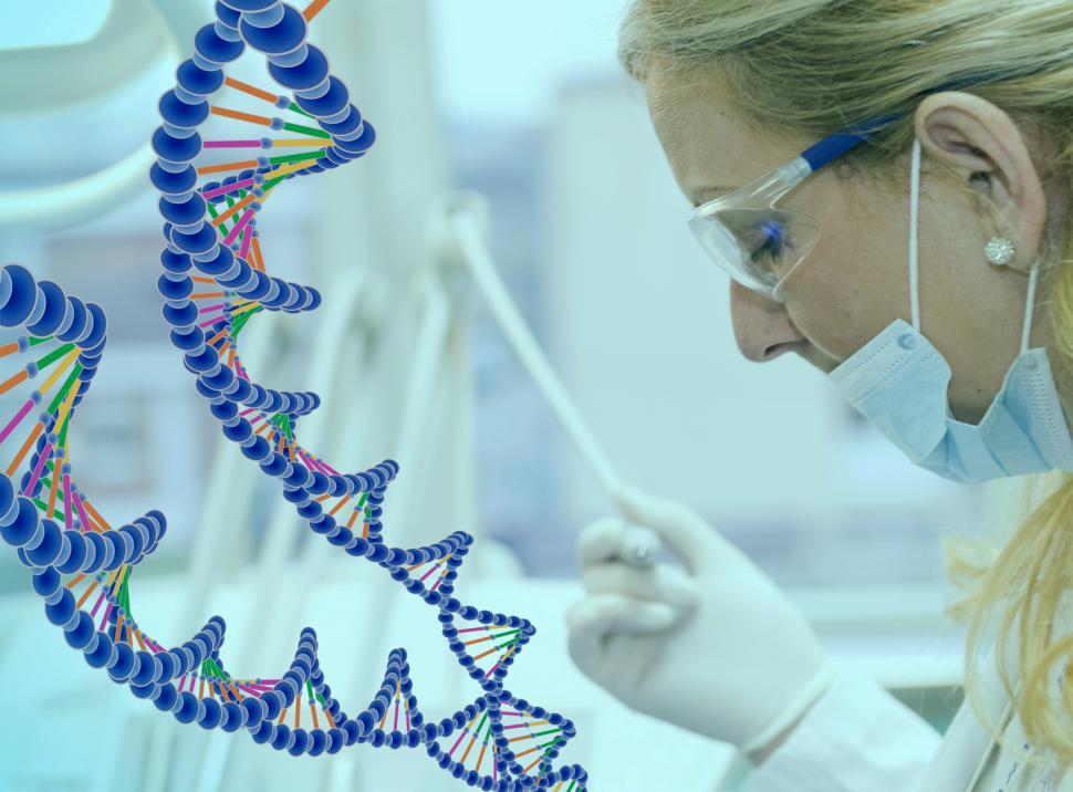 Free Image of Female Medical Doctor Analyzing DNA strands 