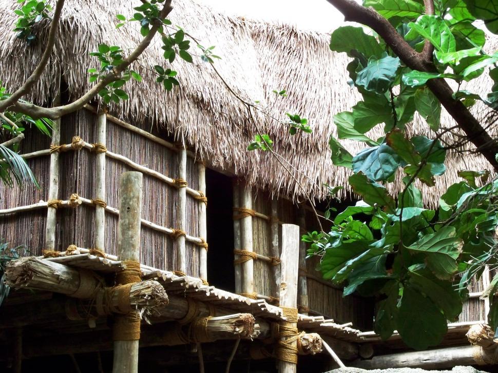 Free Image of Thatched Hut 