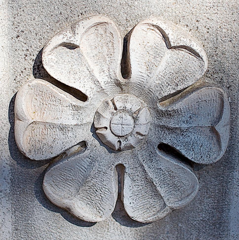 Free Image of Stone flower 
