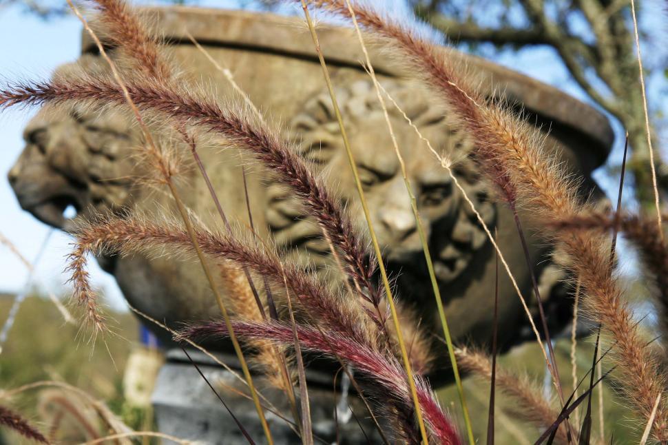 Free Image of Fountain lions 