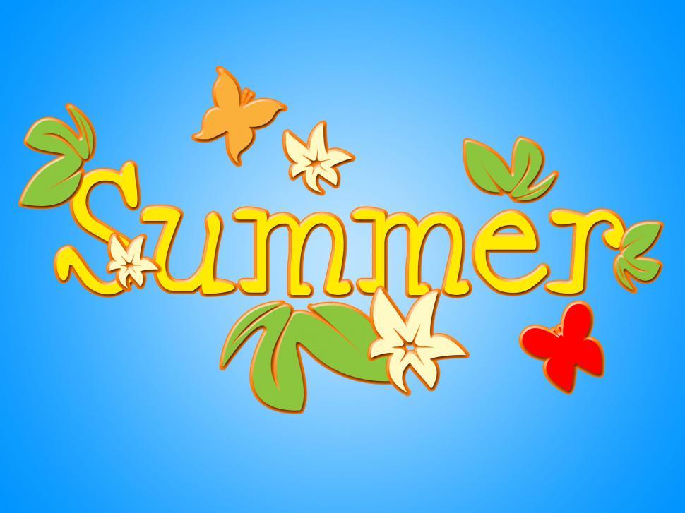 Free Image of Summer Flowers Represents Florals Season And Bloom 