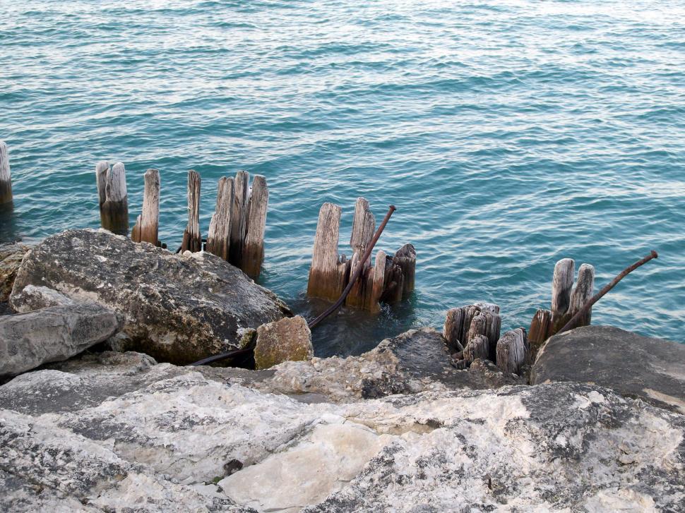 Free Image of Coastal Debris 