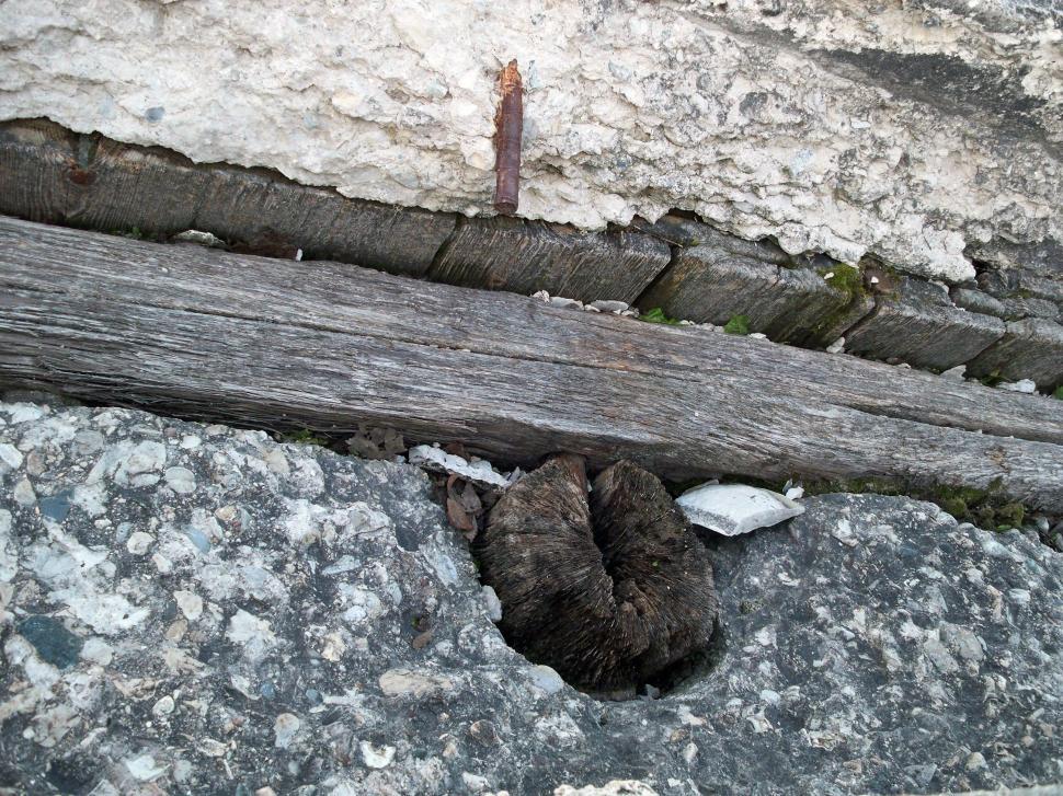 Free Image of Wood and Concrete 2 