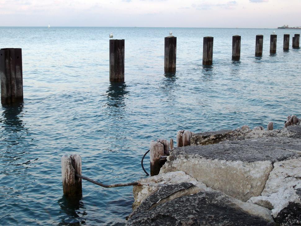 Free Image of Lake Shore 
