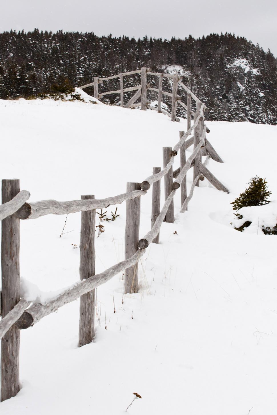 Free Image of Winter Scene 