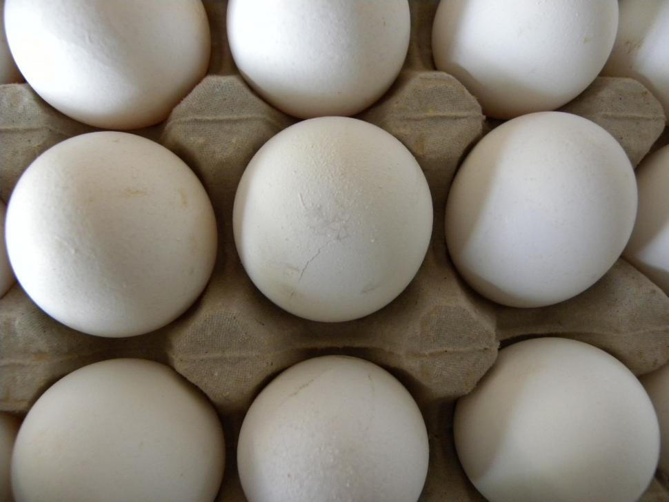 Free Image of Eggs  