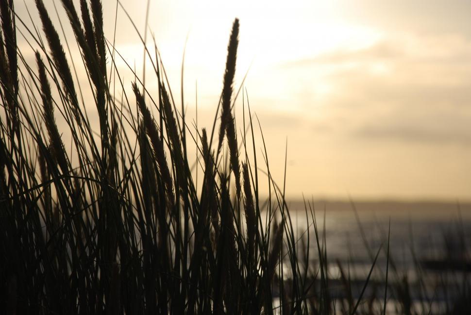 Free Image of Beautiful sea sunset, Helsingborg, Sweden  
