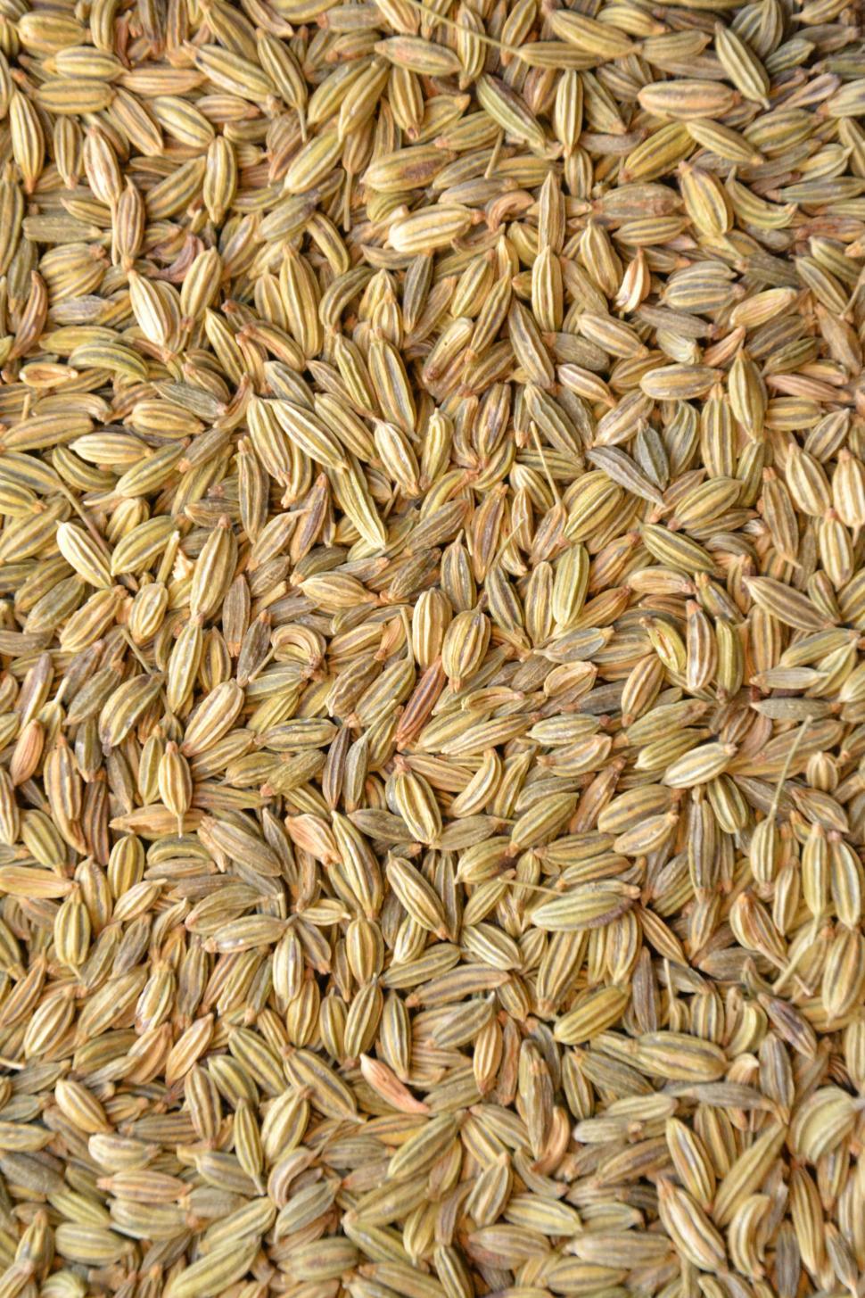 Free Image of Fennel seeds  