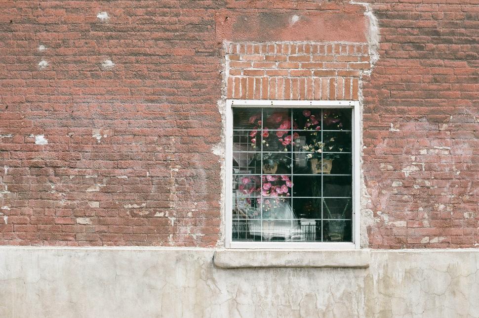 Free Image of Red Fire Hydrant by Window 