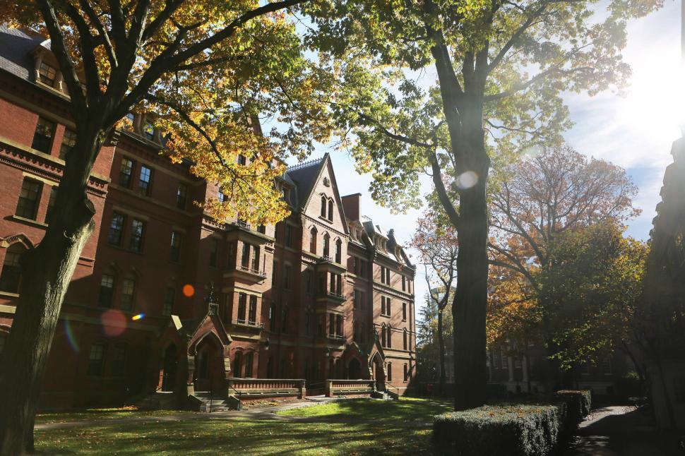 Free Image of Sun Shines Through Trees in Front of Building 
