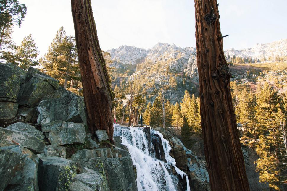 Free Image of Majestic Waterfall in Dense Forest 