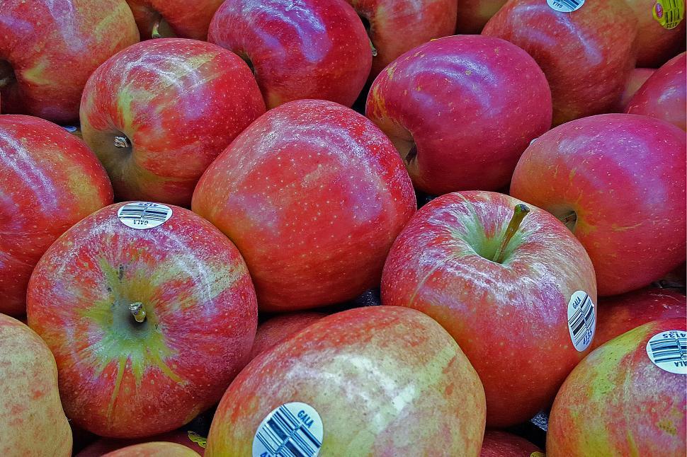 Free Image of Gala Apples 