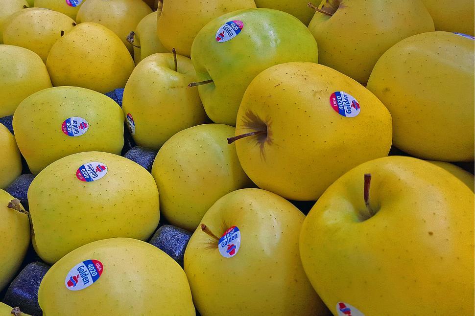 Free Image of Golden Delicious Apples 