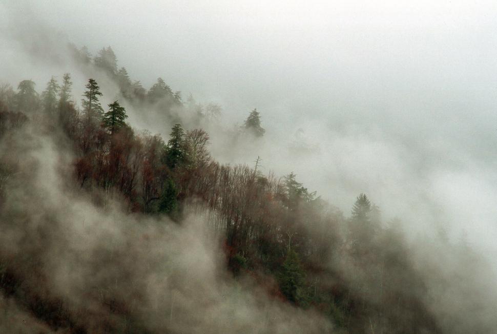 Free Image of The Great Smoky Mountains 