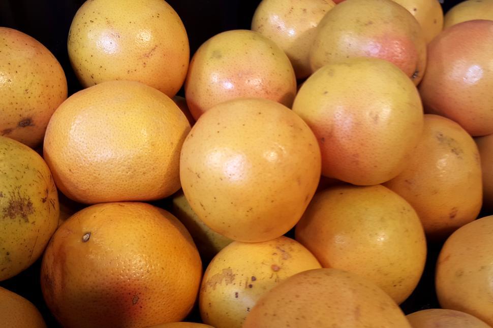 Free Image of Grapefruits 
