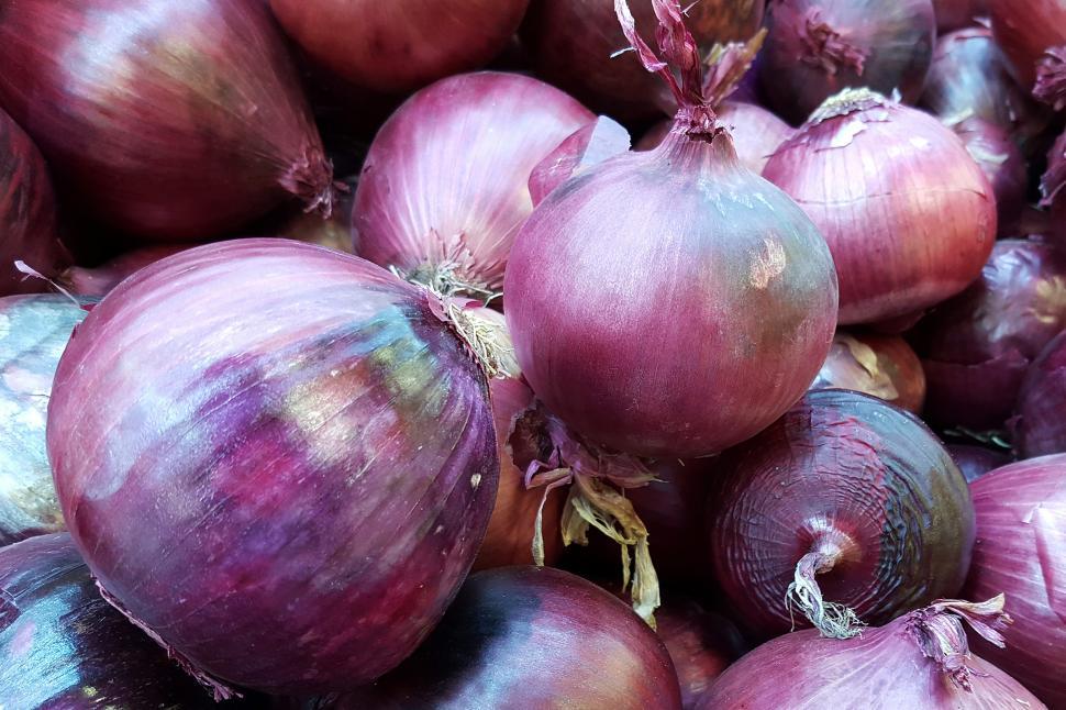 Free Image of Red Onions 