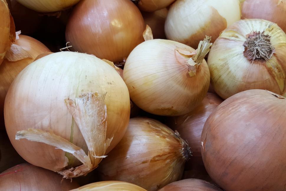 Free Image of Yellow Onion 