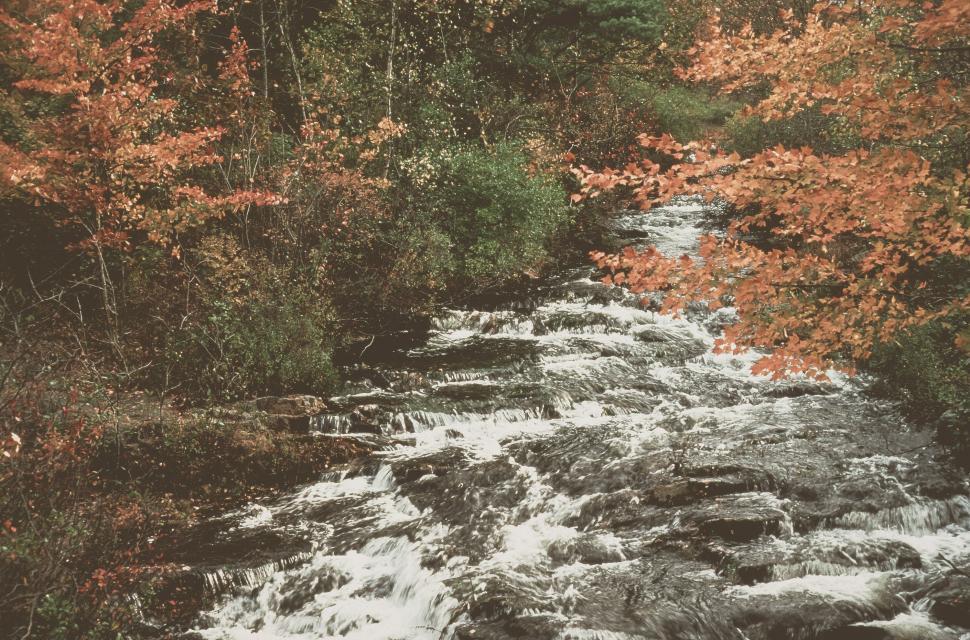 Free Image of Acadia National Park 