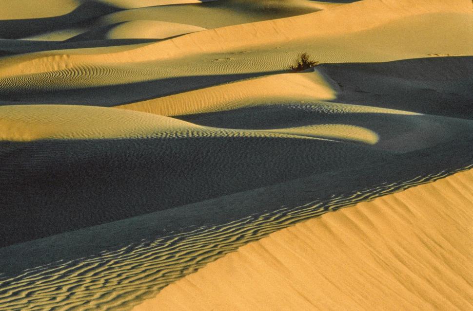 Free Image of Sand Dunes 