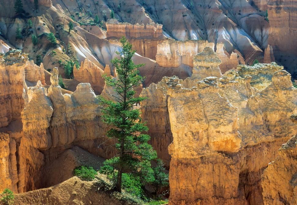 Free Image of Glowing Hoodoos 