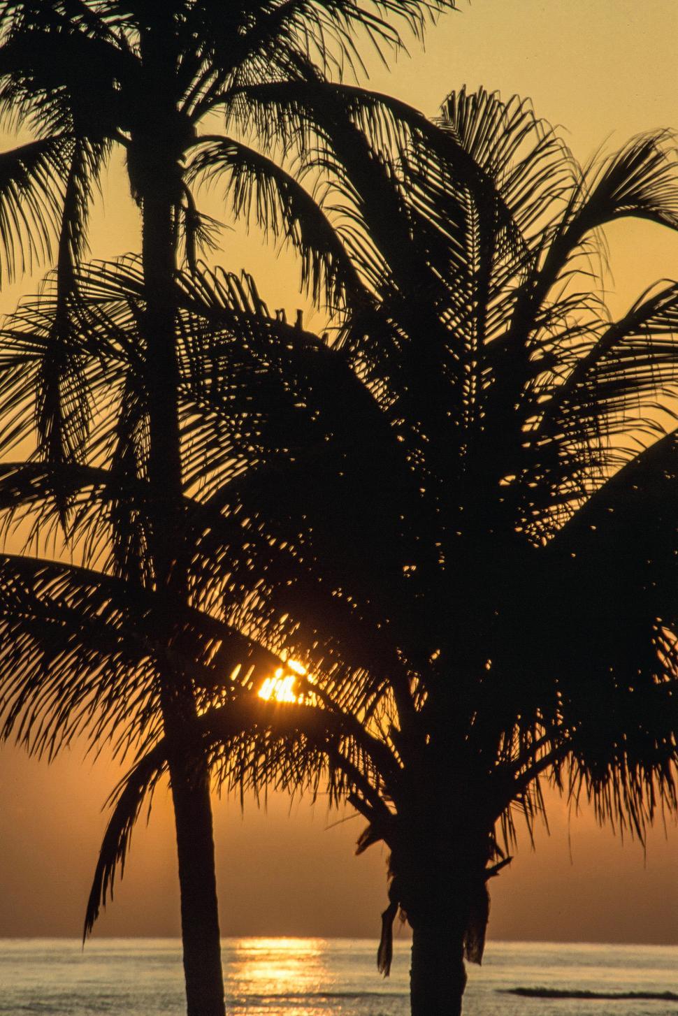 Free Image of Montego Bay in Jamaica 