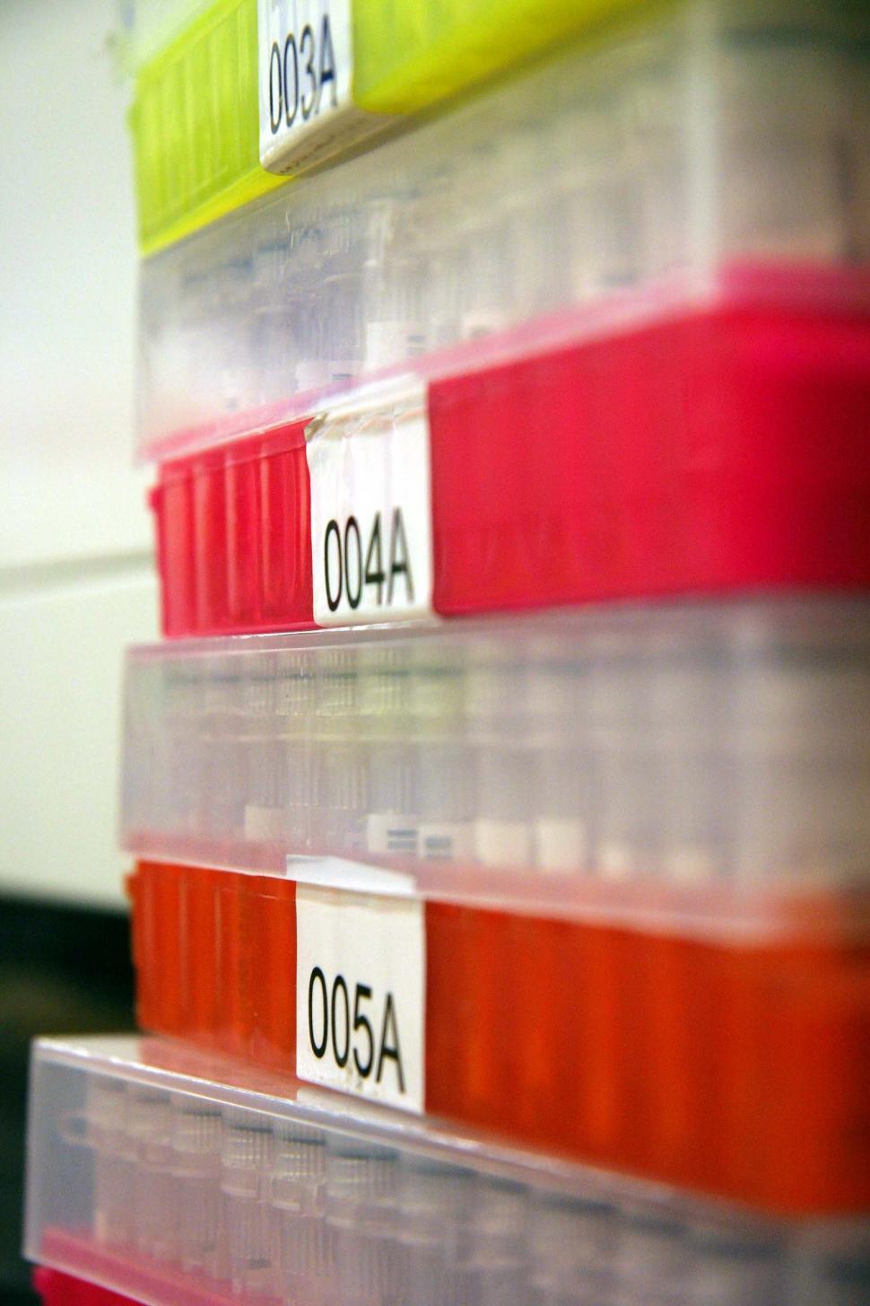 Free Image of Boxes of samples 