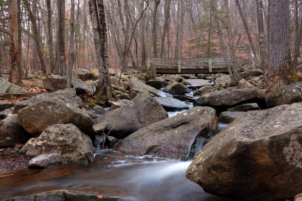 Free Image of Wooden Foot Bridge at Hacklebarney State Park 