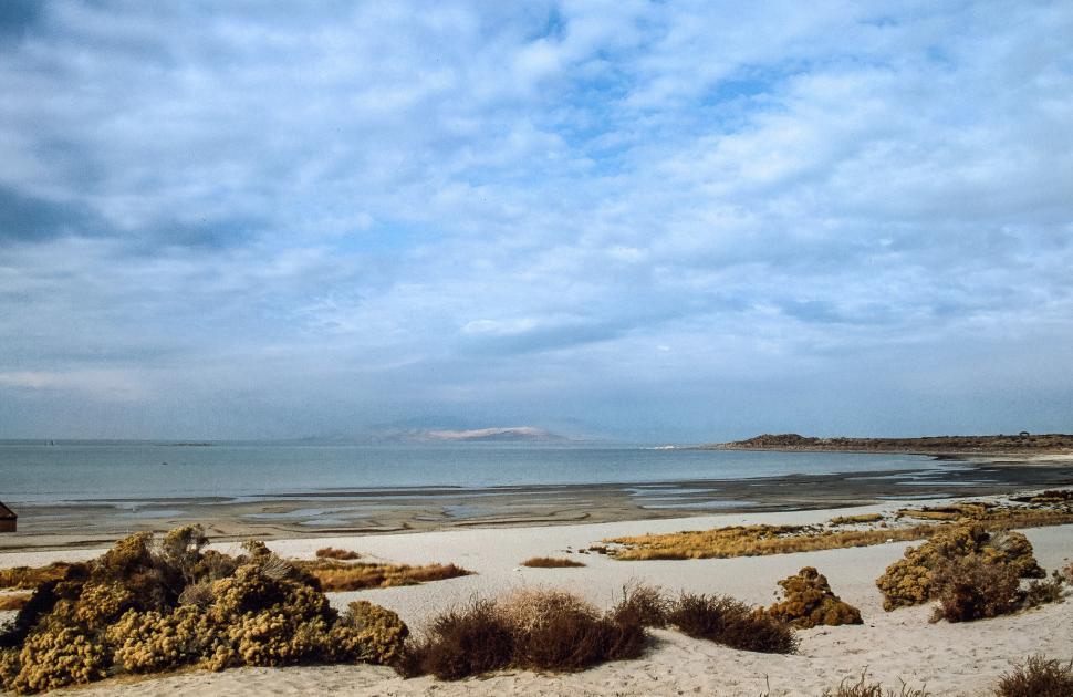 Free Image of Great Salt Lake, Atelope Island 