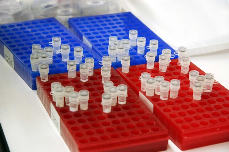 Free Image of Red and blue sample trays 