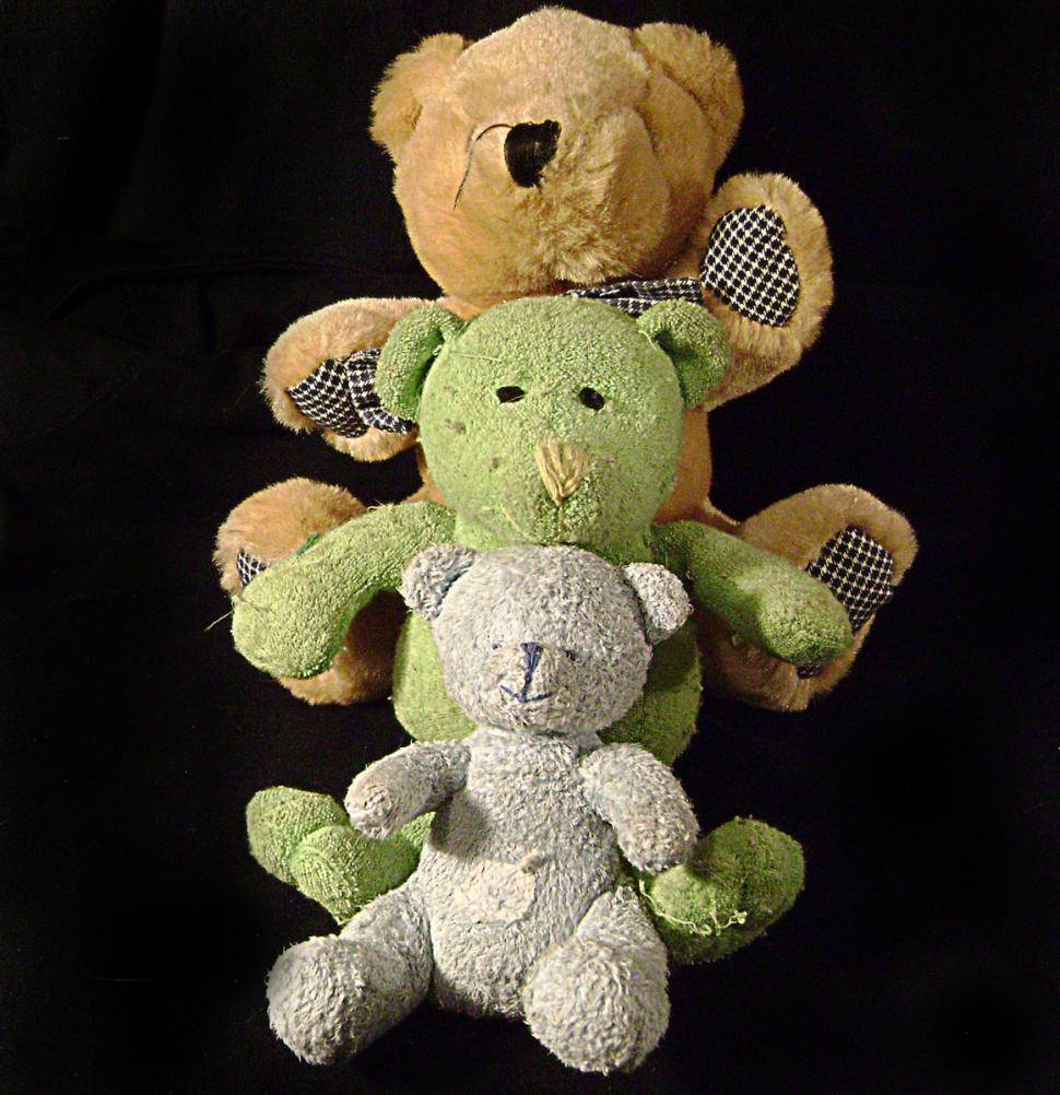 Free Image of Teddy Tea 