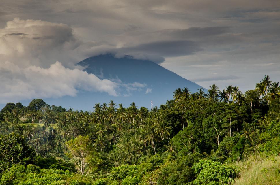 Free Image of Mountain Peak With Trees in Foreground 
