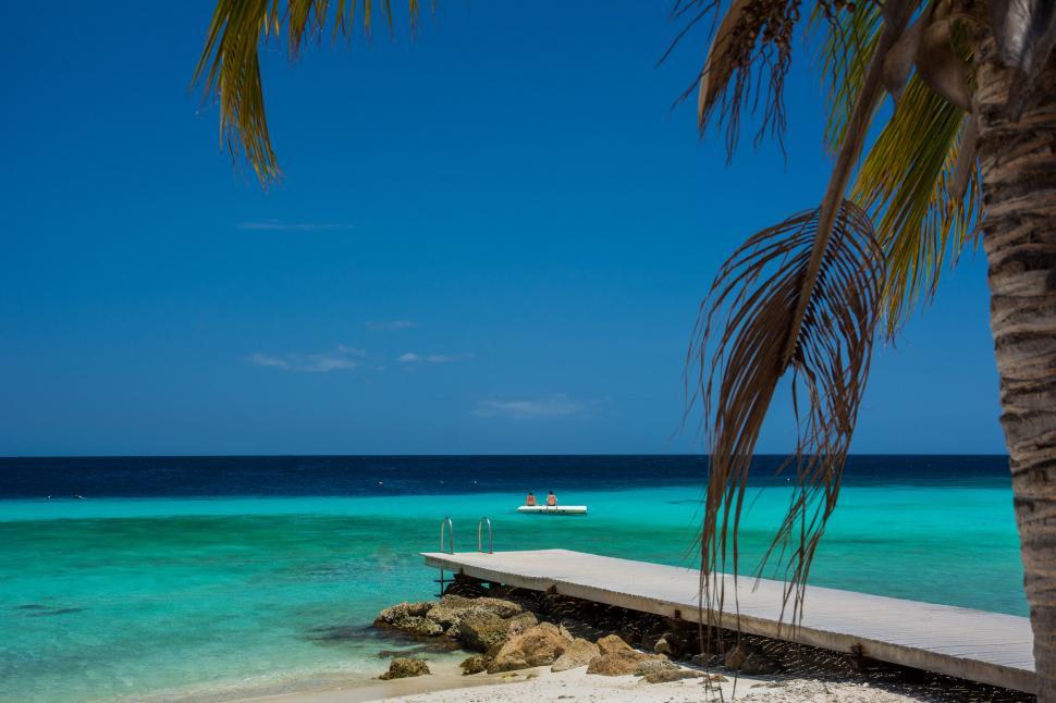 Free Image of Boat in Water at Beach With Palm Trees 