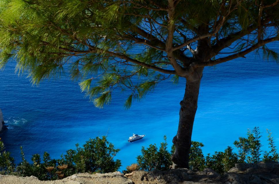 Free Image of Boat Sailing Near Tree 