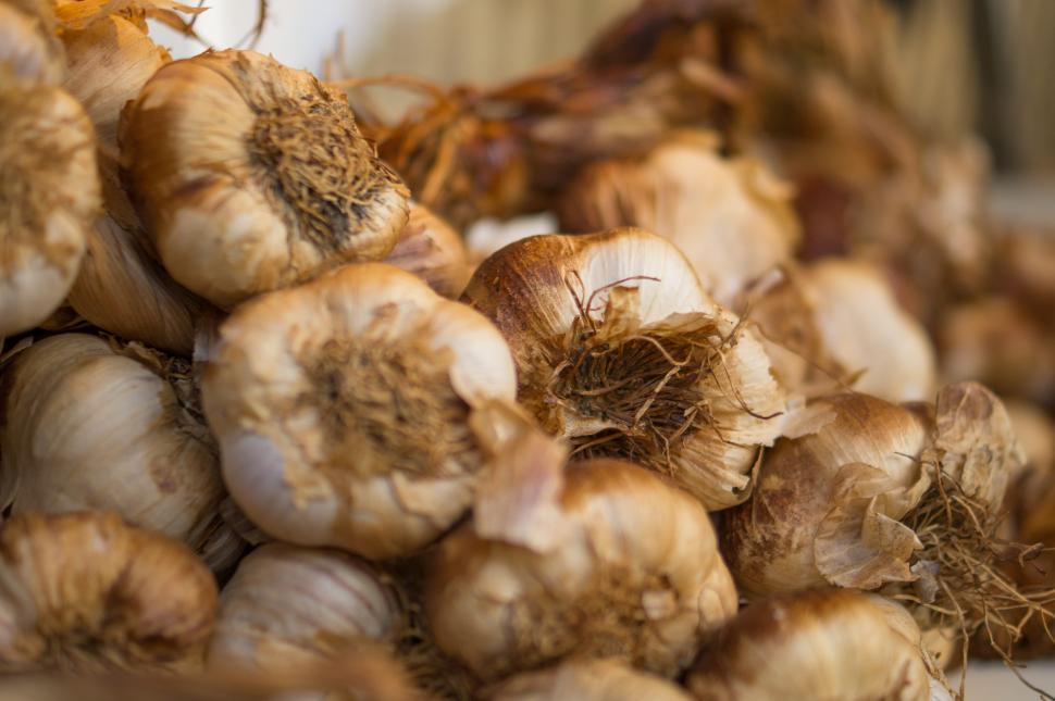Free Image of Bunch of Garlic on Kitchen Counter 