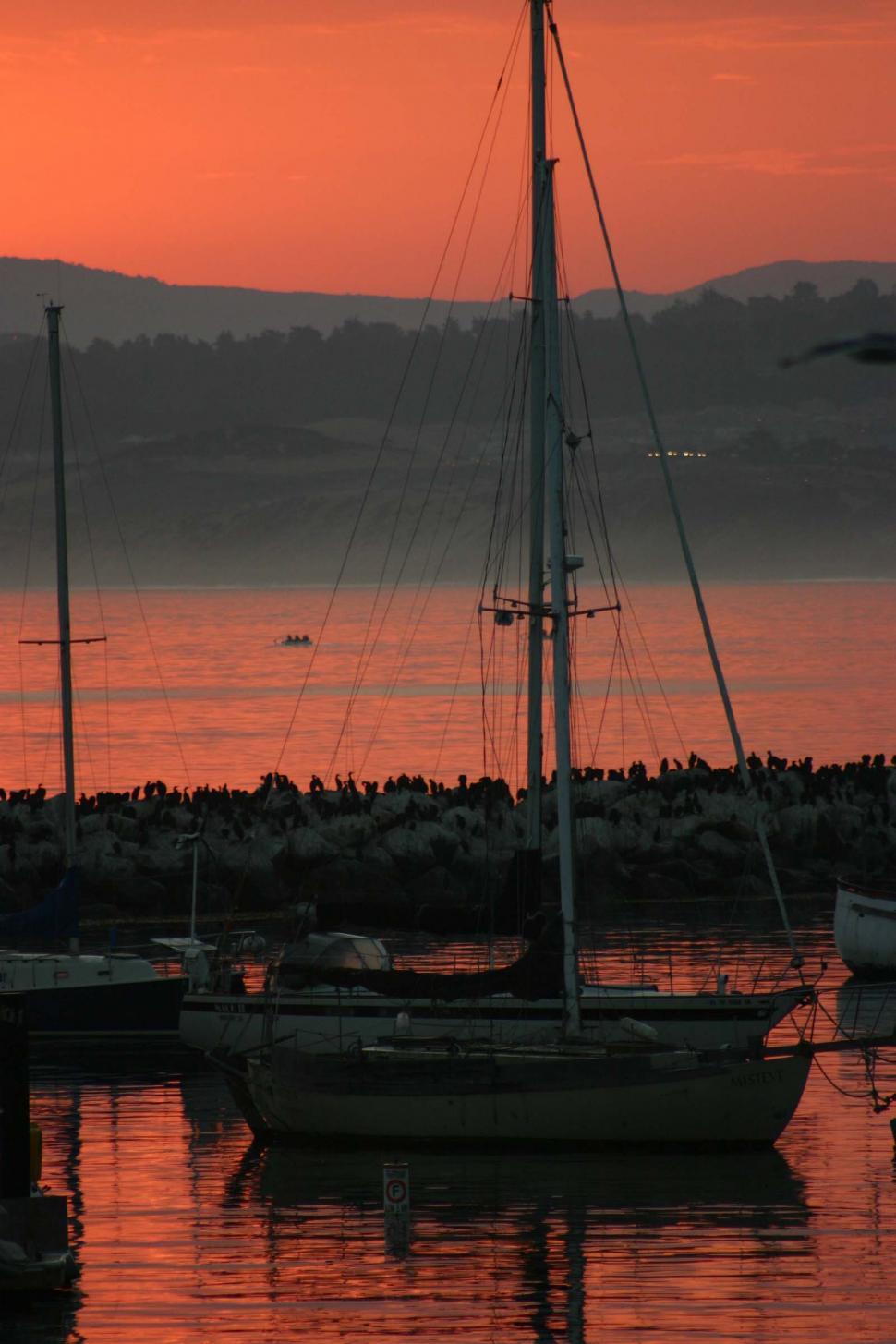 Free Image of Group of Boats Floating on Body of Water 