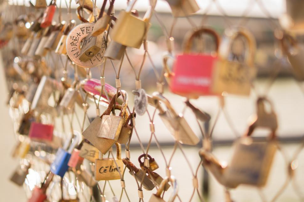 Free Image of Array of Padlocks Secured to Fence 