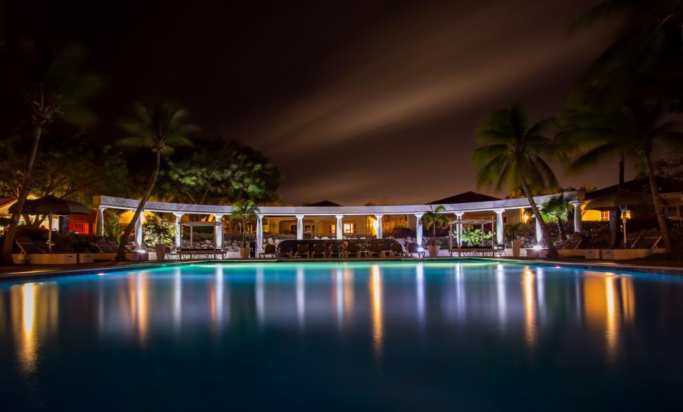 Free Image of Large Swimming Pool Surrounded by Palm Trees 