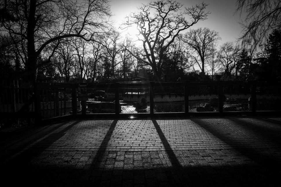 Free Image of Brick Walkway in Black and White 