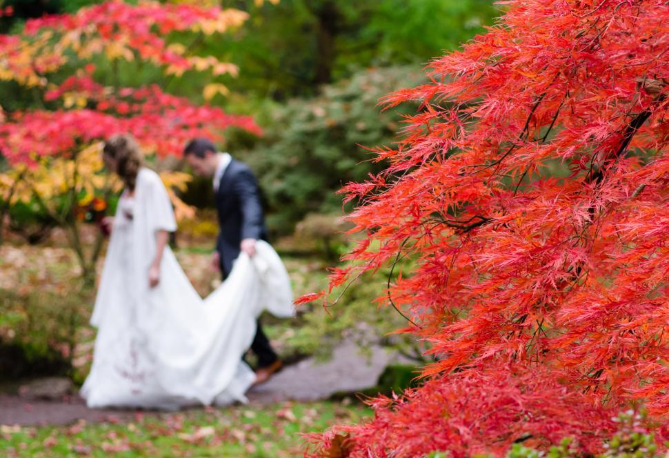 Free Image of Bride and Groom Walking Through Garden 