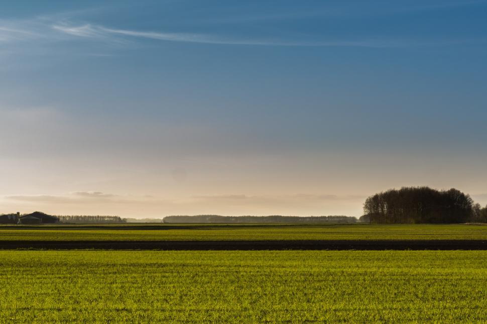 Free Image of Expansive Field of Green Grass Under Blue Sky 